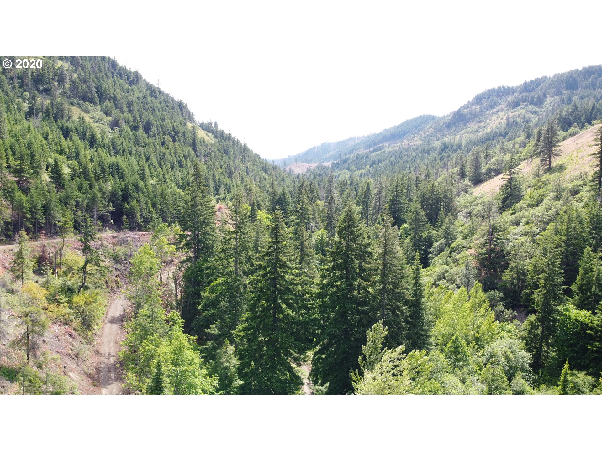 Mill Creek Road The Dalles, OR 97058 - Photo 6 of 23 Gallery Image 6