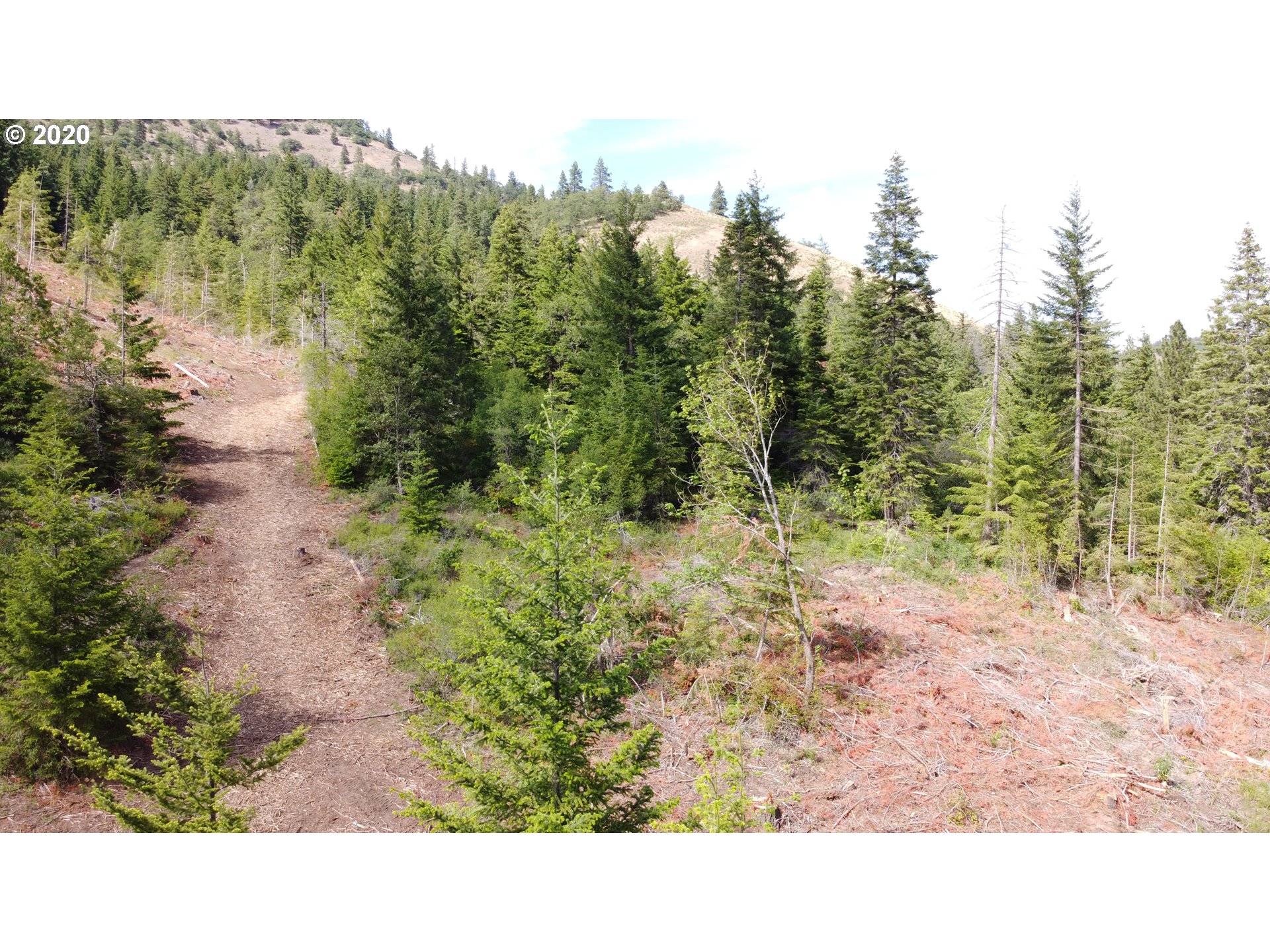 Mill Creek Road The Dalles, OR 97058 - Photo 7 of 23 Gallery Image 7
