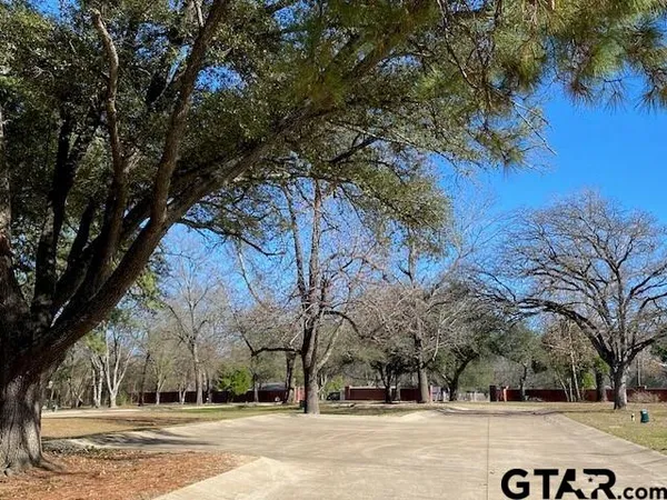 a view of a yard with large trees