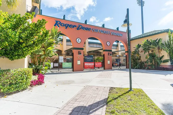 a view of a swimming pool with a garden and palm trees