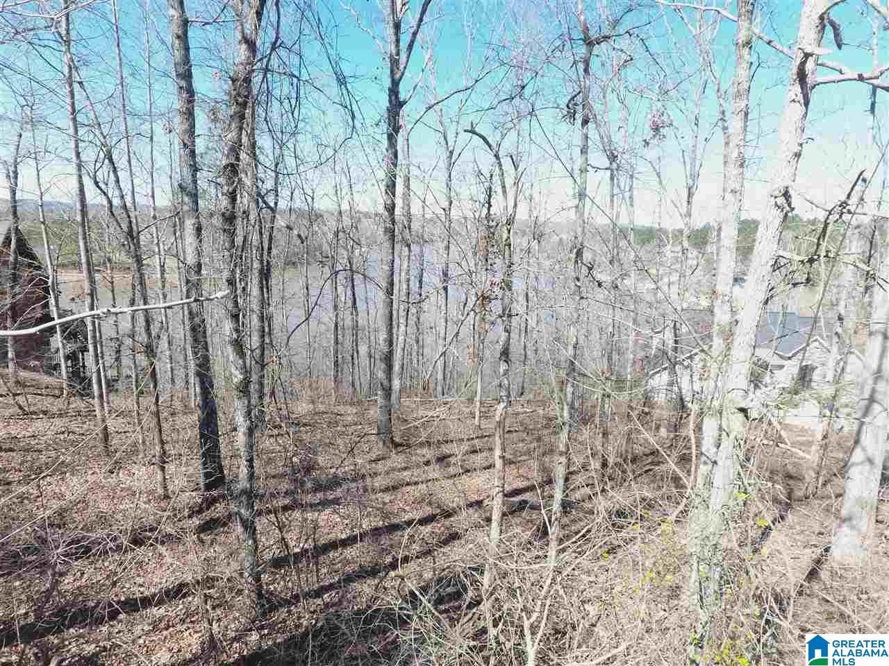 46 Ridgeview Court, Unit LOT #46 Wedowee, AL 36278 - Photo 15 of 15