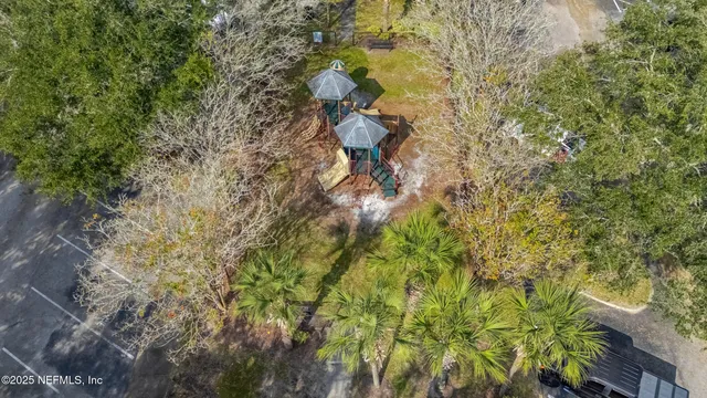 a picture of a tree in a backyard