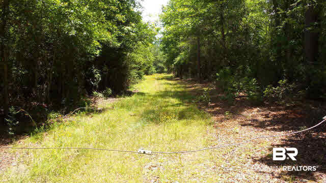 0 West Railroad Street Castleberry, AL 36432 - Photo 34 of 41