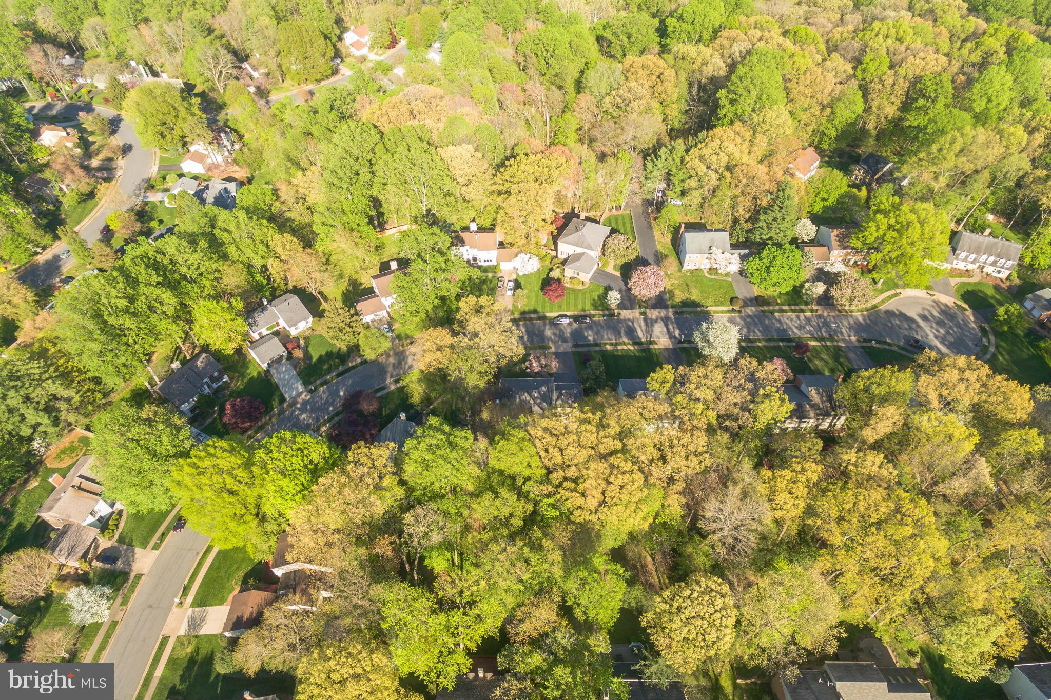 11811 Grey Birch Place Reston, VA 20191 - Photo 29 of 30