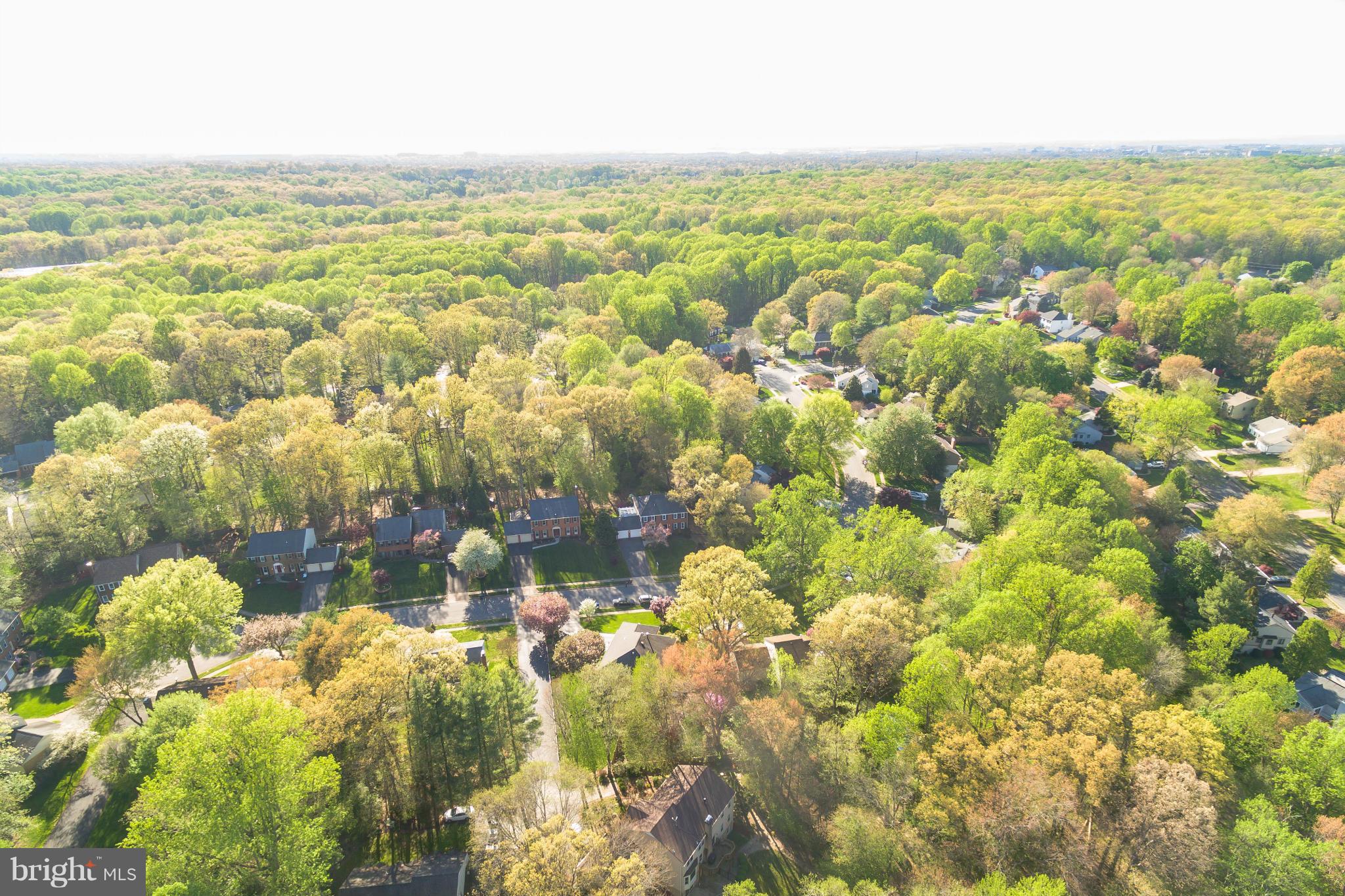 11811 Grey Birch Place Reston, VA 20191 - Photo 30 of 30 a view of lake view