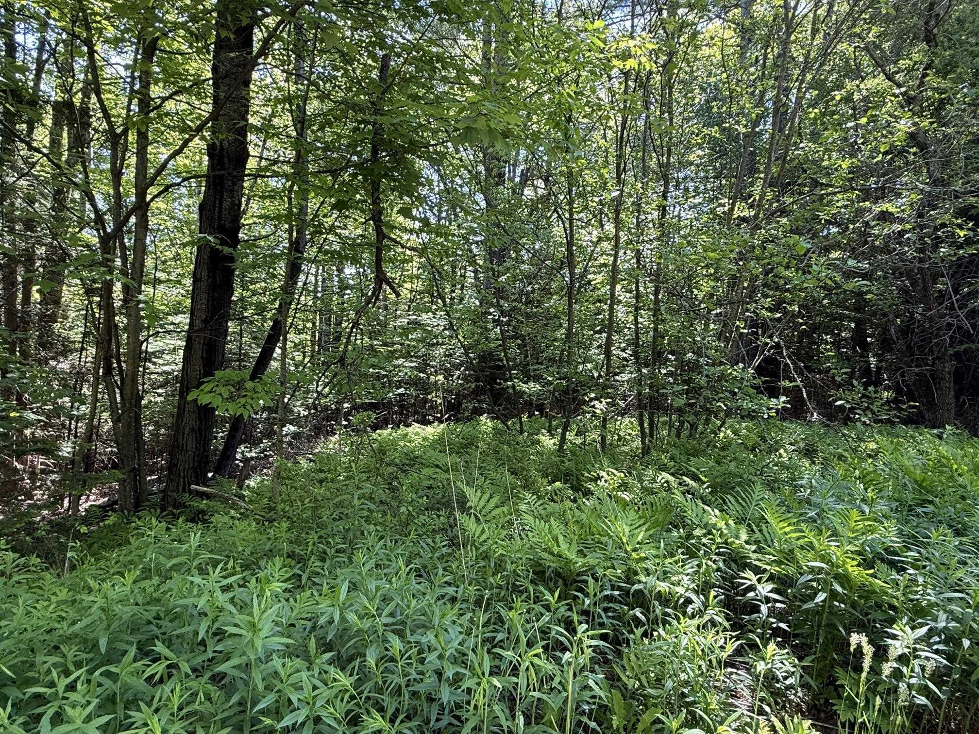 19 Stone Ridge Loop West Dover, VT 05356 - Photo 6 of 27