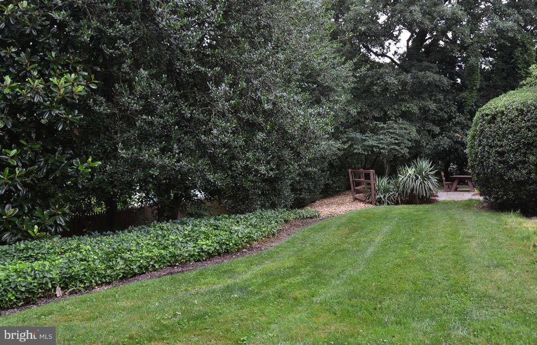 7134 River Road Bethesda, MD 20817 - Photo 14 of 29 Private Backyard with Mature Landscaping