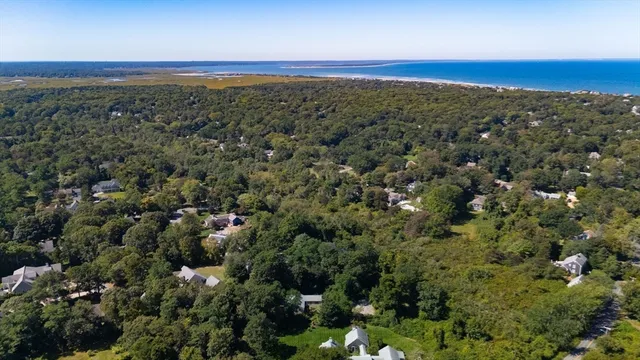 a view of a patio with table and chairs and potted plants