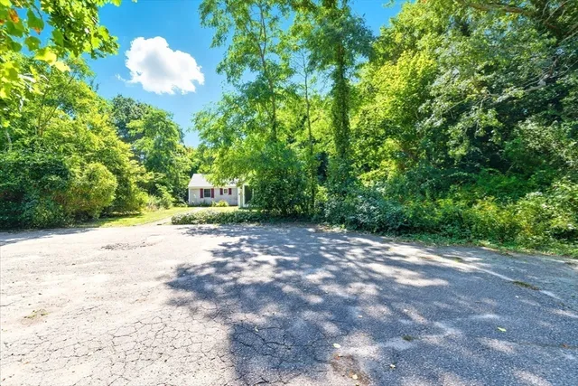 a view of a yard with plants and trees