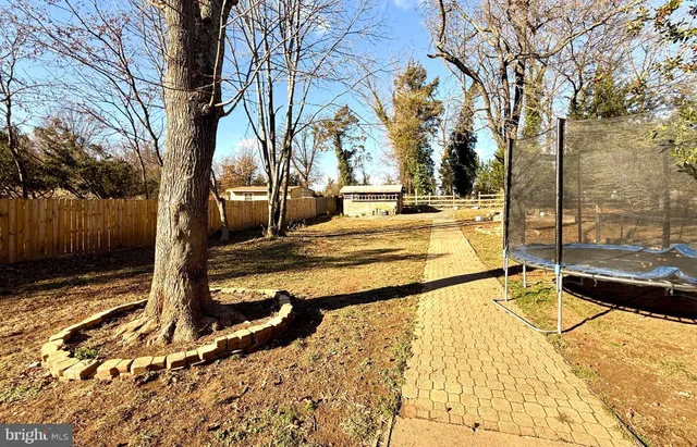 a view of a yard with trees