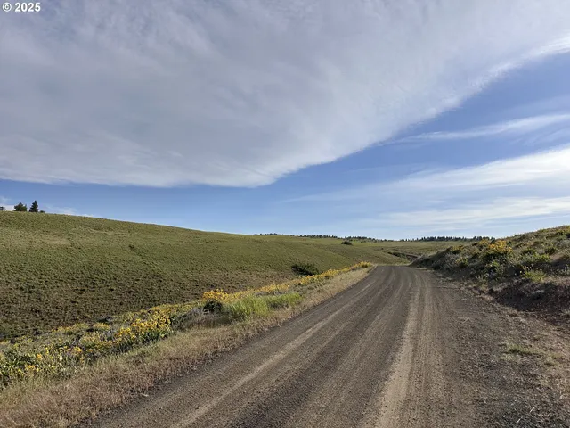 a view of a field with mountains in the background