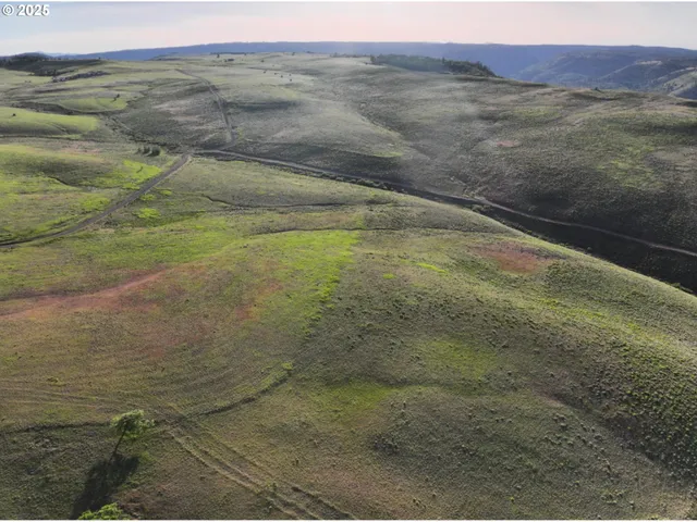 an aerial view of ocean and trees