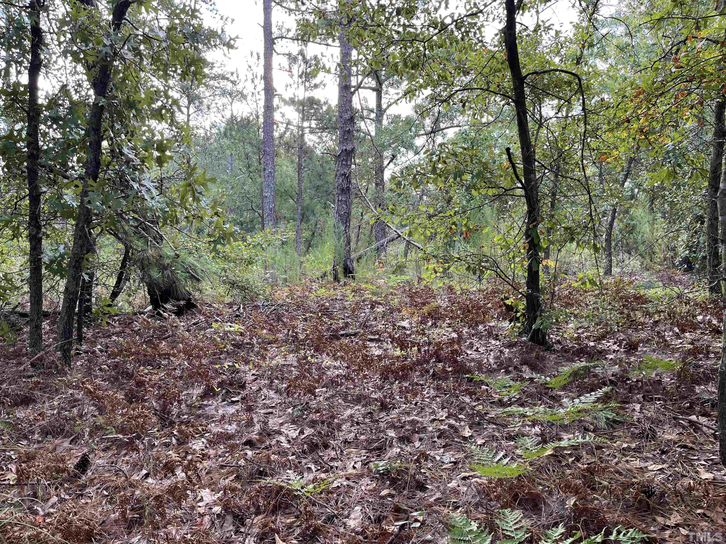 Tbd Brewington Avenue Rockingham, NC 28379 - Photo 3 of 21 a big yard with lots of green space