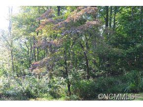 2 Wildcat Ridge Drive Fairview, NC 28730 - Photo 2 of 4 Gallery Image 2