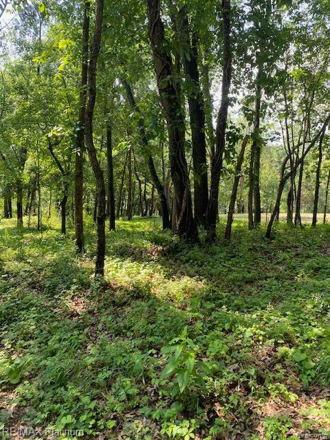 7 Sleaford-parcel 7 - 2 Acres Road Howell, MI 48843 - Photo 31 of 45