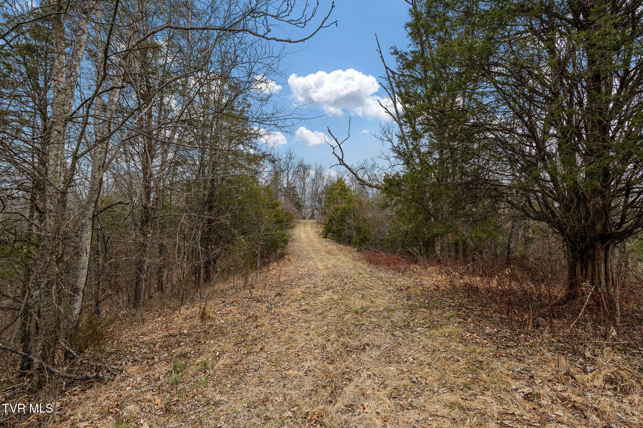 Tbd Smithtown Road Afton, TN 37616 - Photo 28 of 52 DSC03780