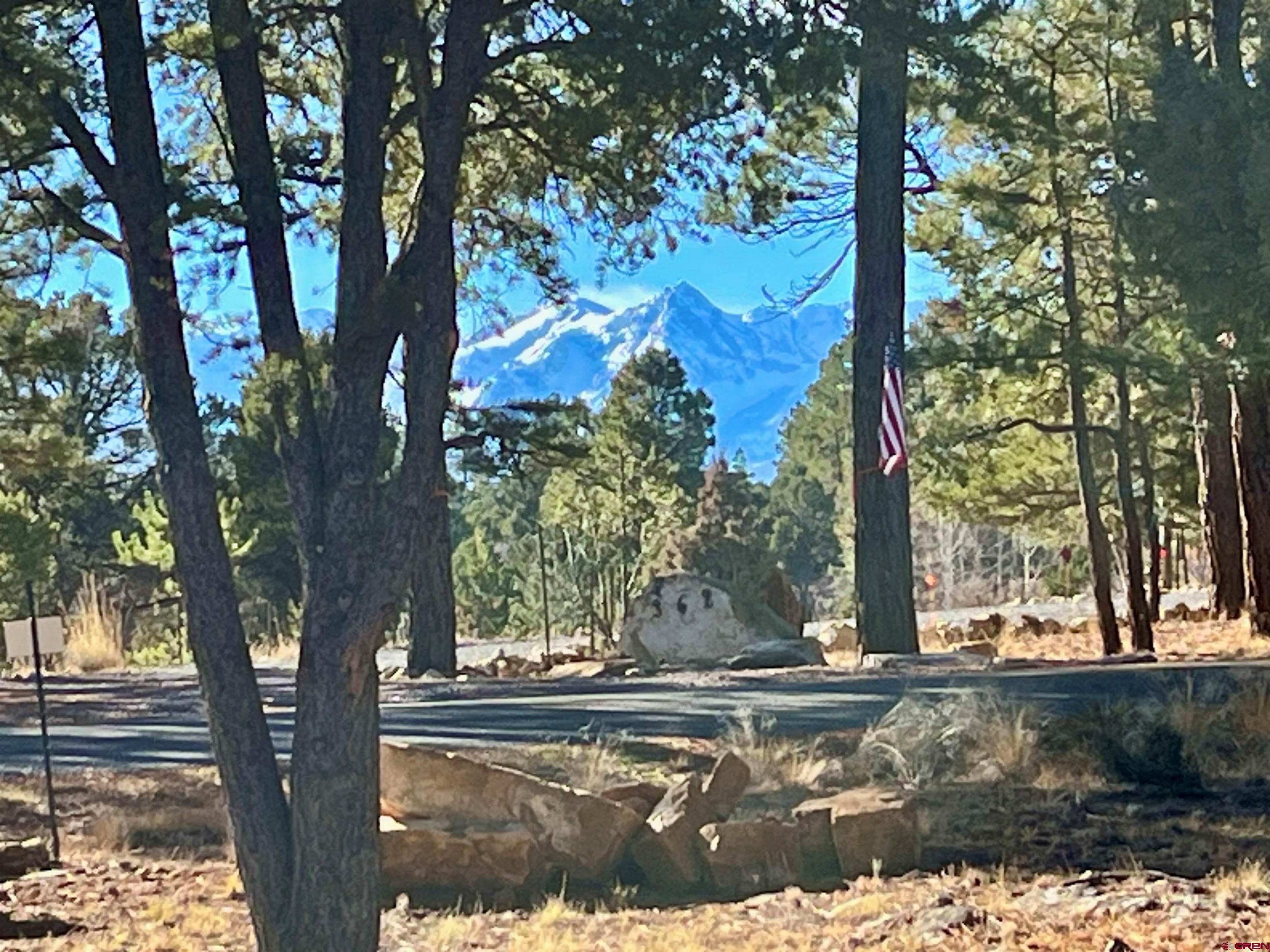a view of a yard with large trees