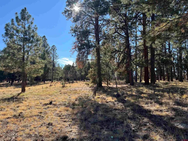 a view of a snow on the side of a road