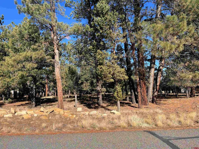 a view of outdoor space with seating