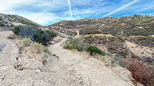 a view of a dry yard with trees