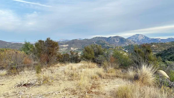 a view of a yard of a house