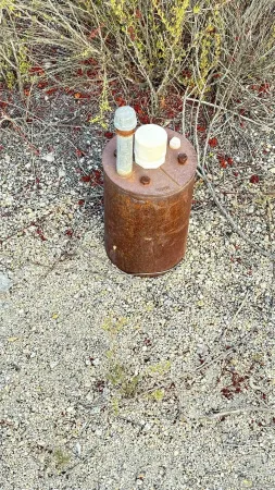 a coffee table with wooden floor and a potted plant