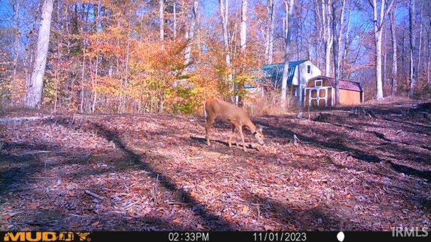 0 South Eckert Road English, IN 47118 - Photo 26 of 26