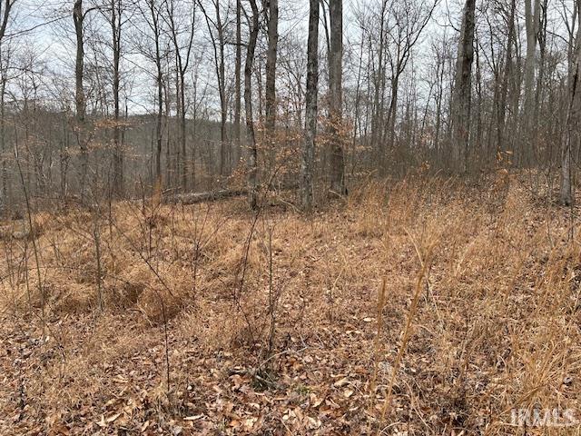 0 South Eckert Road English, IN 47118 - Photo 5 of 26