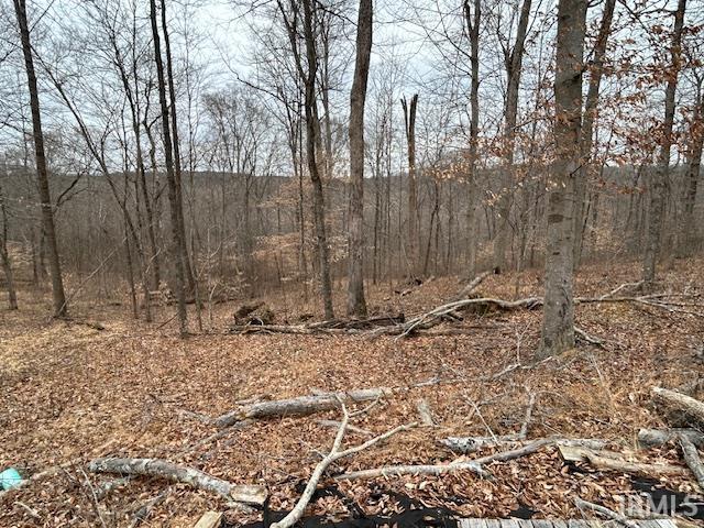 0 South Eckert Road English, IN 47118 - Photo 6 of 26