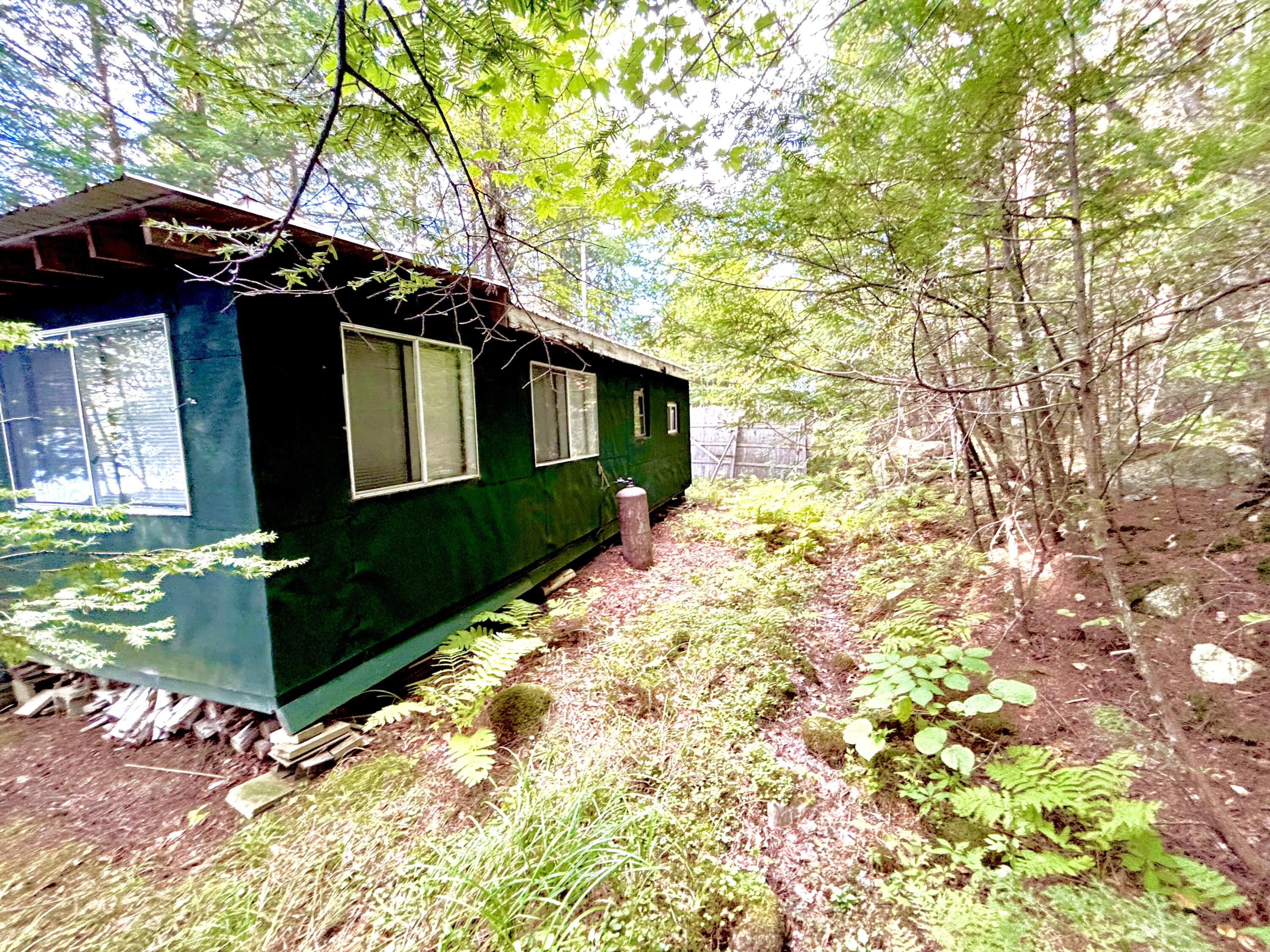 Lot 02 Flat Iron Pond Road Millinocket, ME 04462 - Photo 11 of 28 IMG_7191