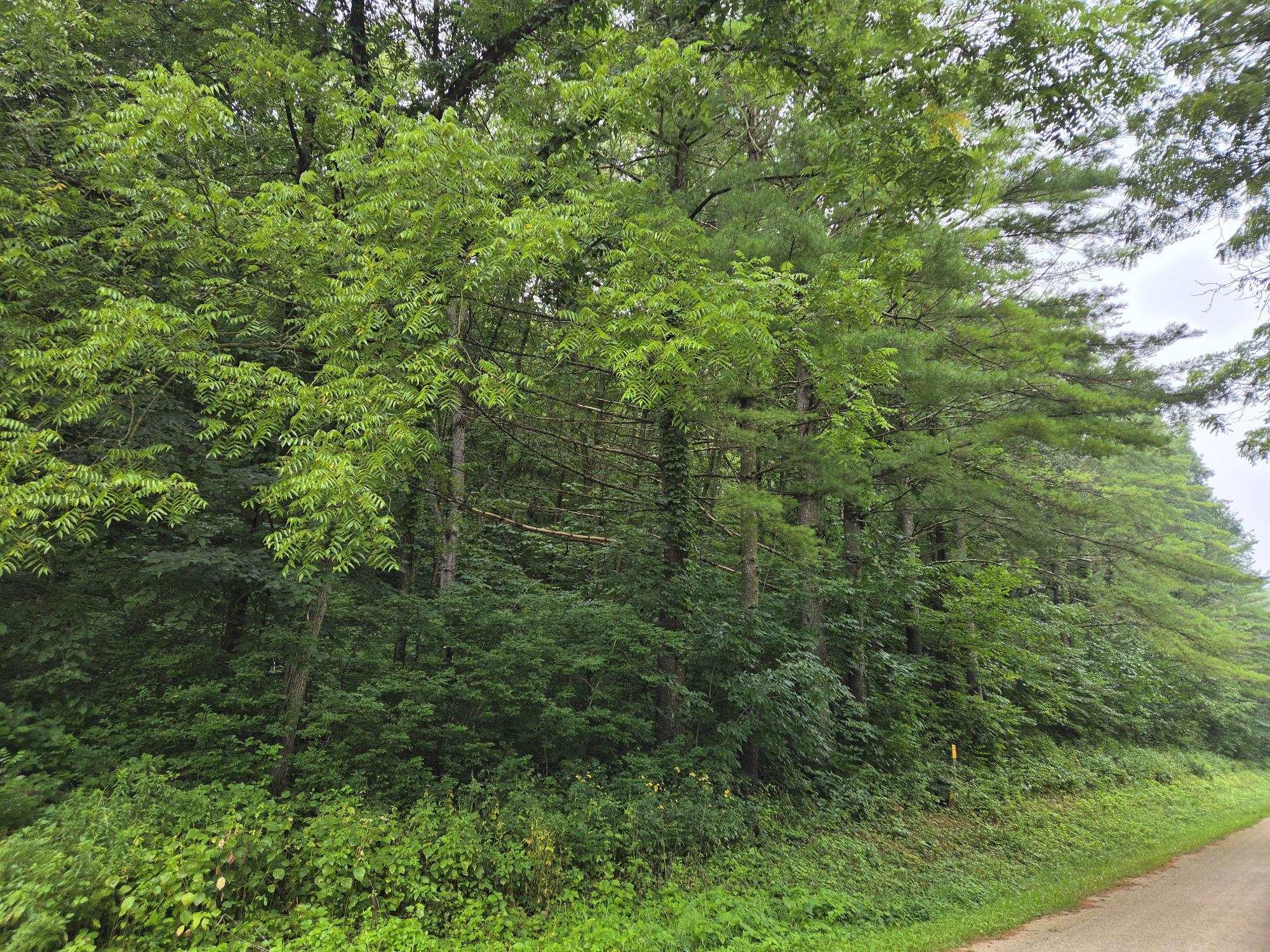 Tbd Marshall Road Richland Center, WI 53581 - Photo 11 of 11 Gallery Image 11