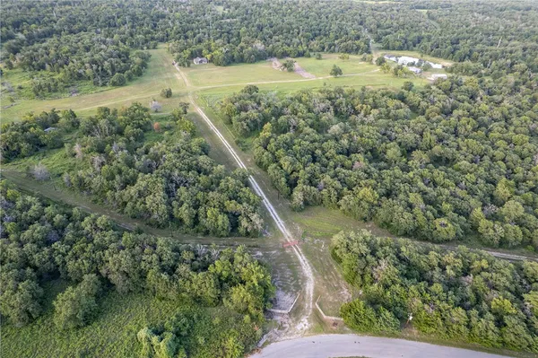 a view of a field with plants and large trees