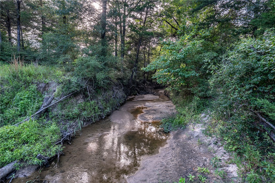 2033 Lcr 704, Unit COUNTYROAD Kosse, TX 76653 - Photo 12 of 31 a picture of trees