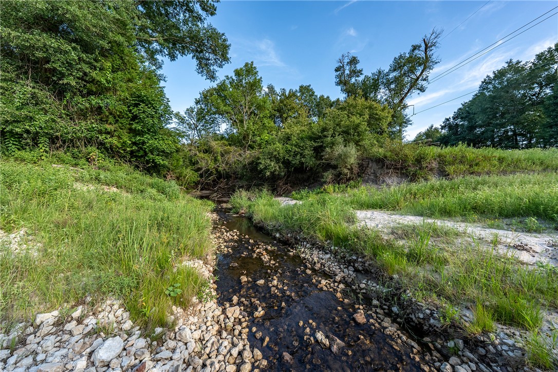 2033 Lcr 704, Unit COUNTYROAD Kosse, TX 76653 - Photo 13 of 31 a view of a garden with a tree