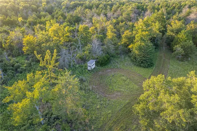 a view of a garden with a lake