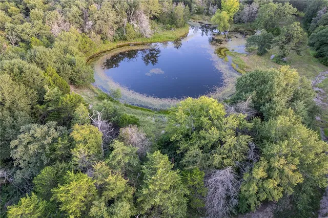a view of a lake from a yard