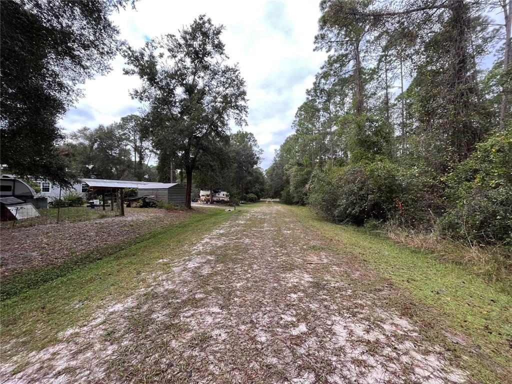 108 5th Street Georgetown, FL 32139 - Photo 4 of 7