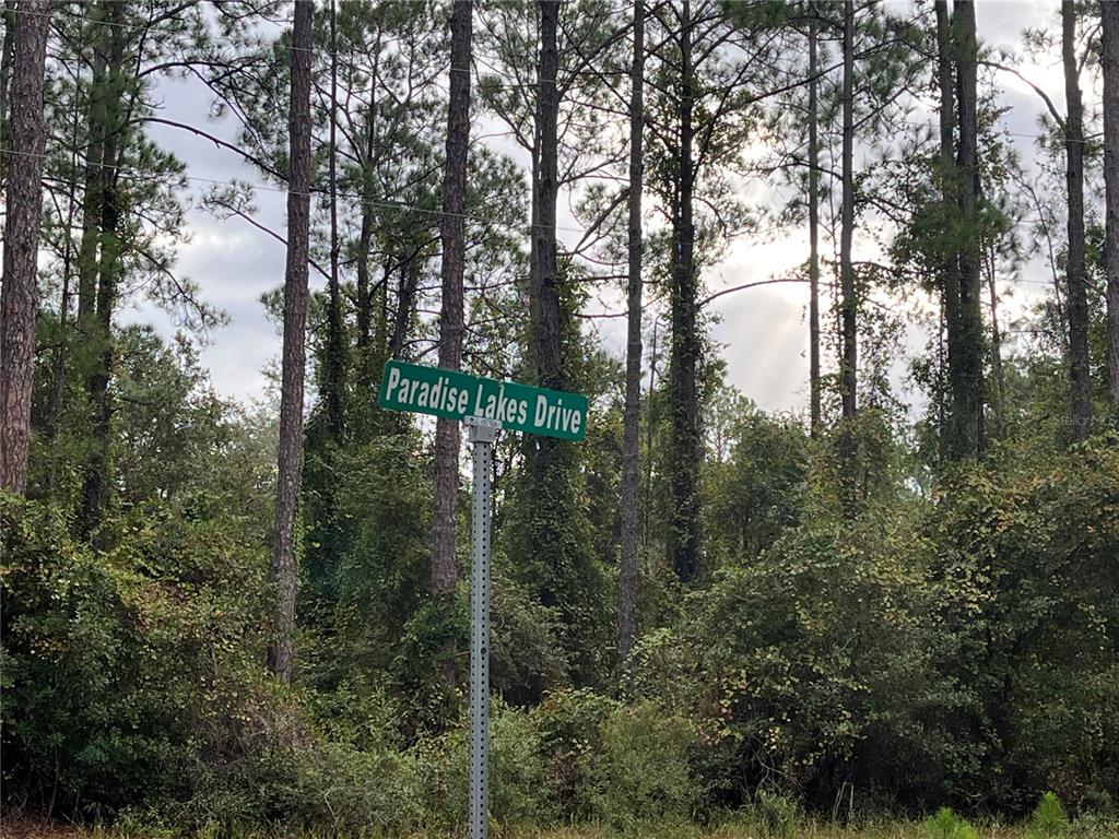 108 5th Street Georgetown, FL 32139 - Photo 5 of 7