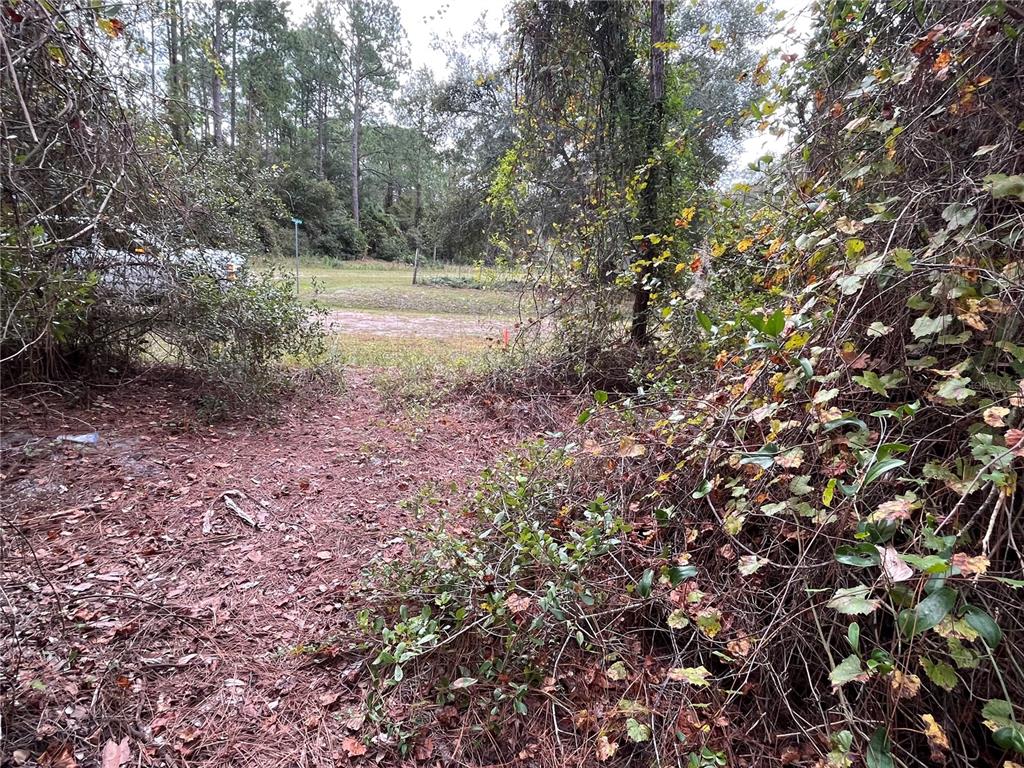 108 5th Street Georgetown, FL 32139 - Photo 7 of 7