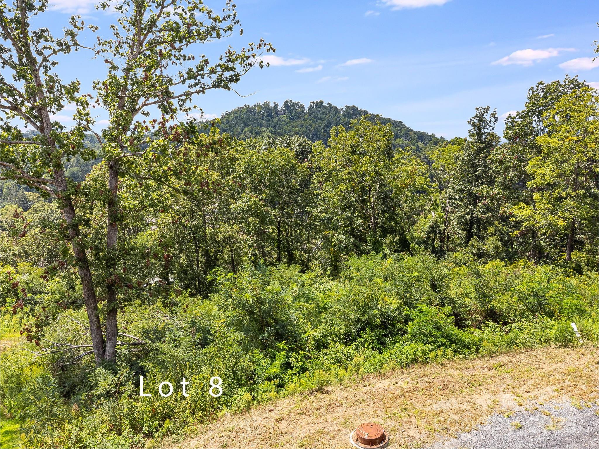 344 Espen Ridge, Unit 8 Asheville, NC 28804 - Photo 5 of 13 a view of a yard with a tree