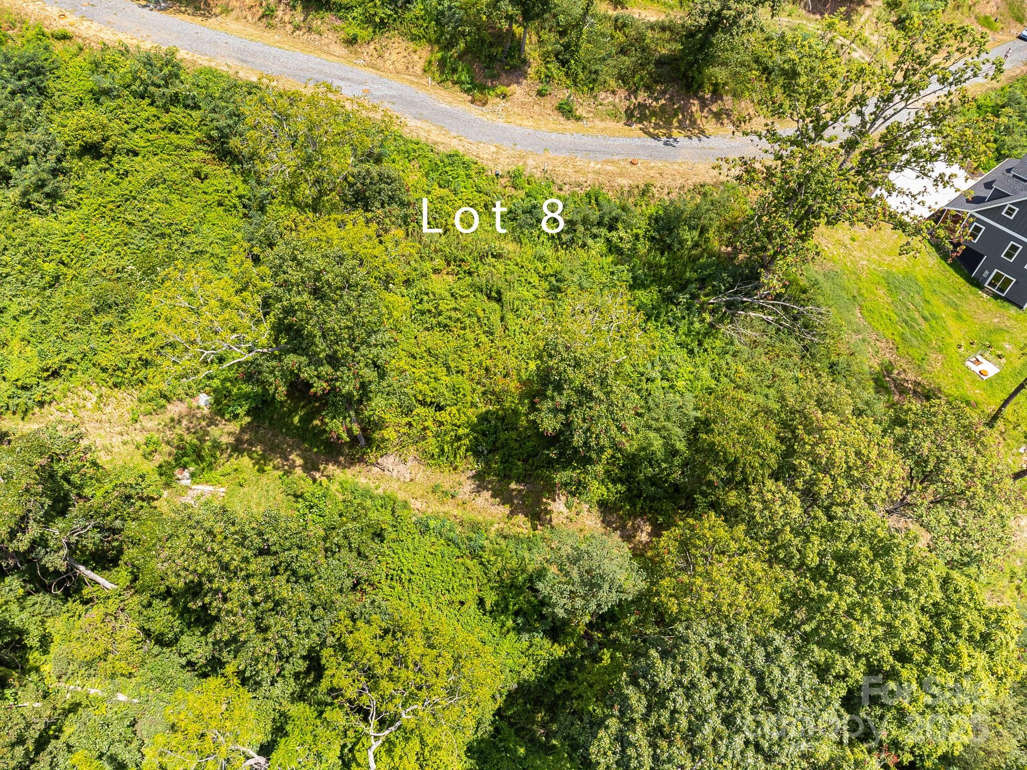 344 Espen Ridge, Unit 8 Asheville, NC 28804 - Photo 7 of 13 a view of a big yard