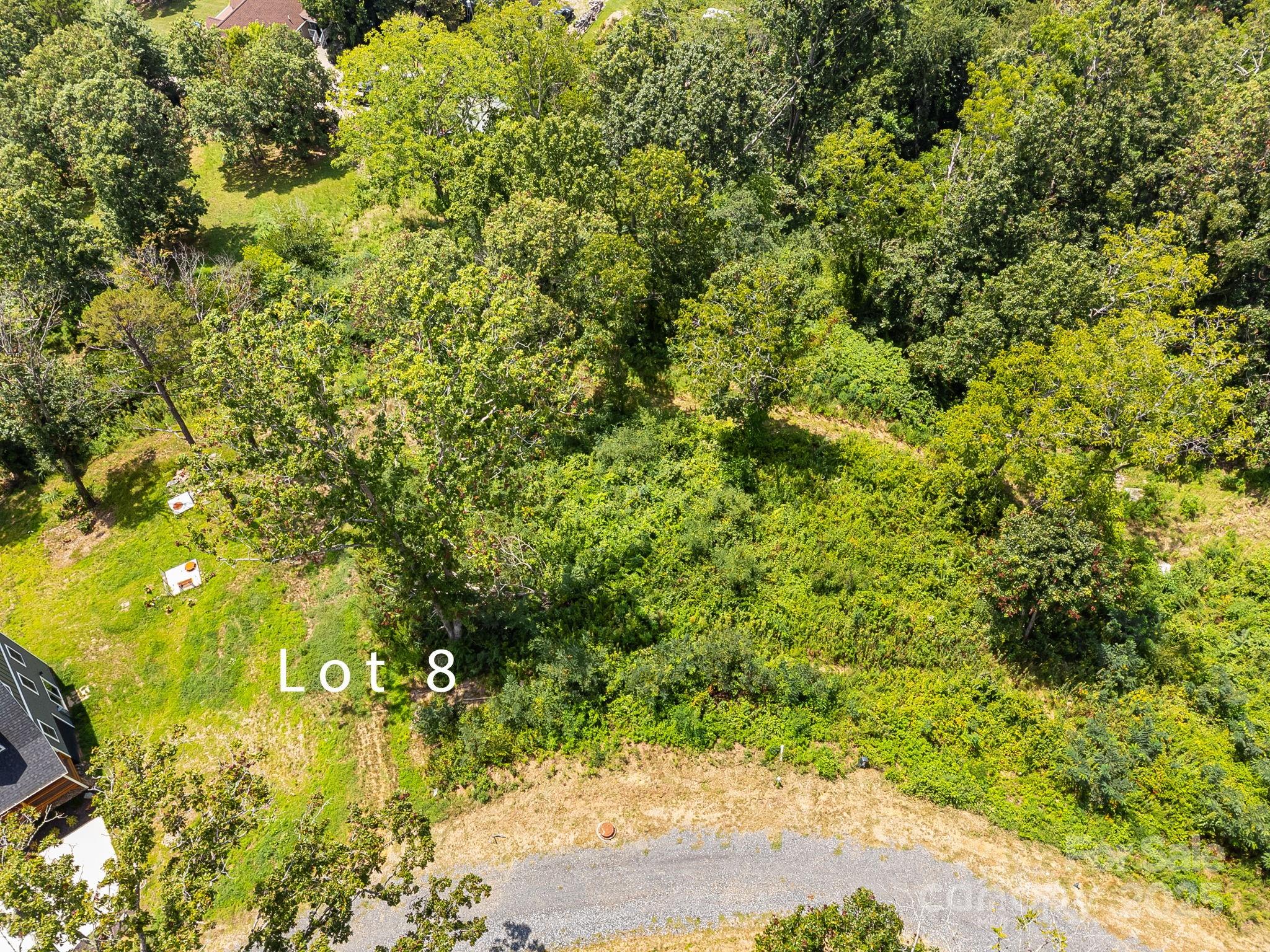 344 Espen Ridge, Unit 8 Asheville, NC 28804 - Photo 9 of 13 a view of a big yard with large trees