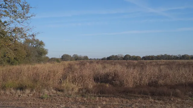 a view of a lake and mountain in the back