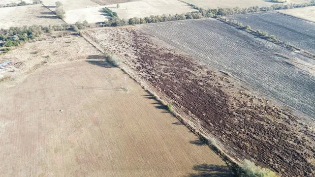 a view of a dry yard