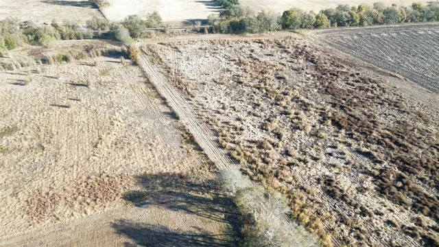a view of a dry yard with wooden fence