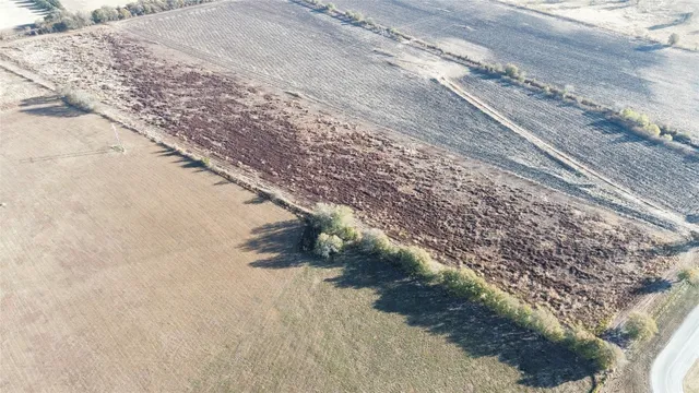 a view of a dry yard