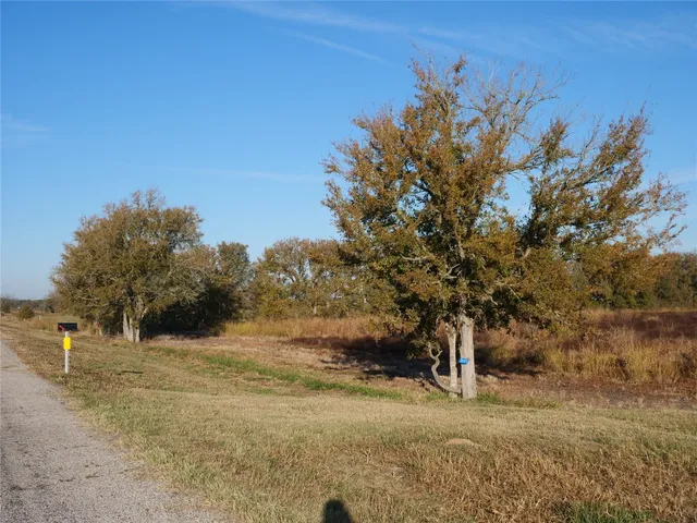 a view of a yard with a tree