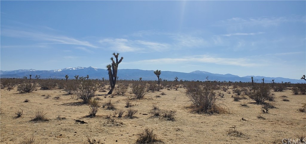 -5 Acres Wilson Ranch Road Phelan, CA 92371 - Photo 1 of 1 Gallery Image 1