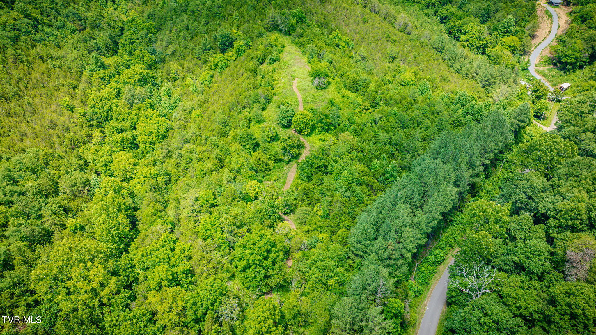 1355 Jackson Hollow Road Mosheim, TN 37818 - Photo 55 of 95 119