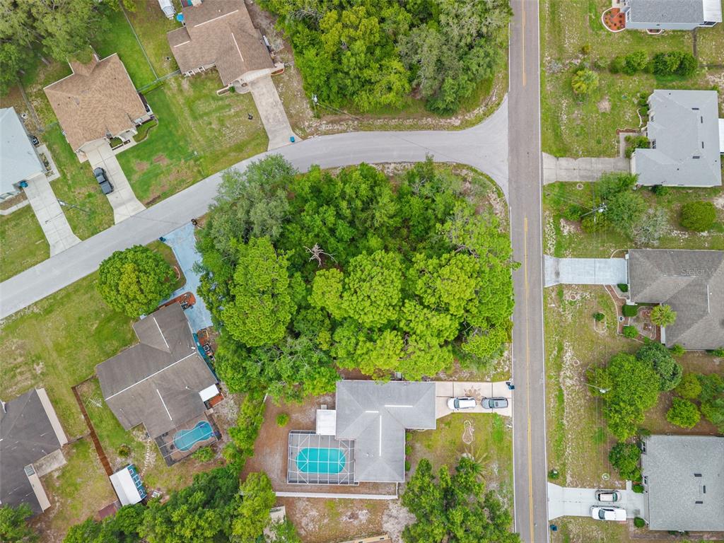 Horizon Dr Spring Hill Spring Hill, FL 34608 - Photo 2 of 12